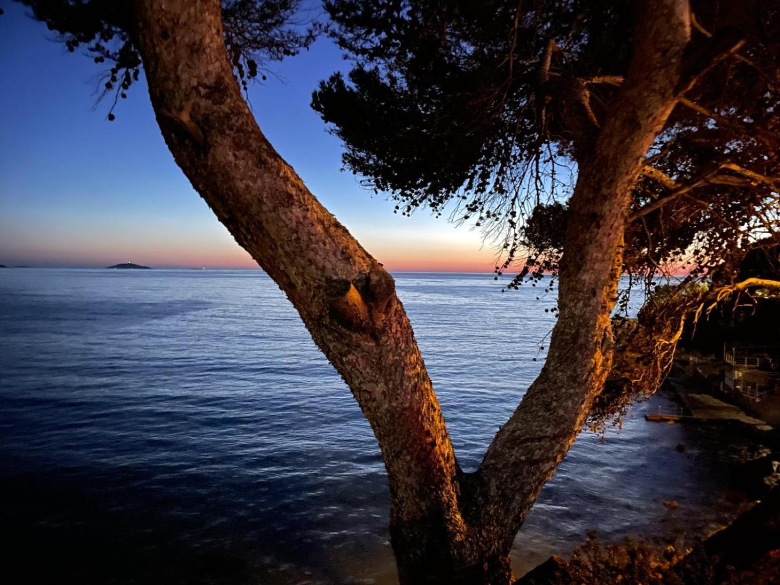 Vacances Bord De Mer - Appartement Sanary Sur Mer Екстериор снимка